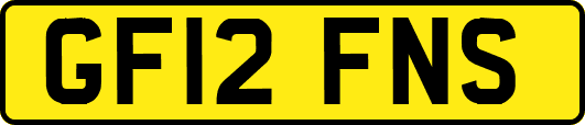 GF12FNS