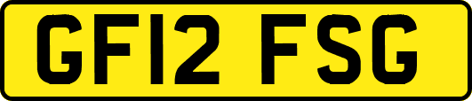 GF12FSG