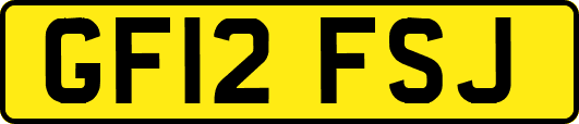 GF12FSJ