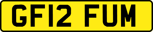 GF12FUM