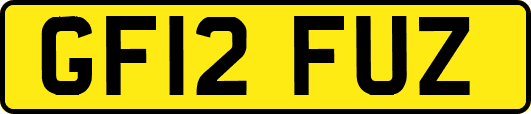 GF12FUZ