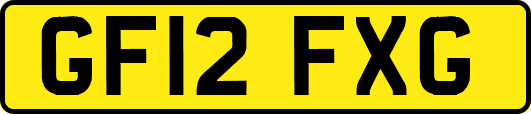 GF12FXG