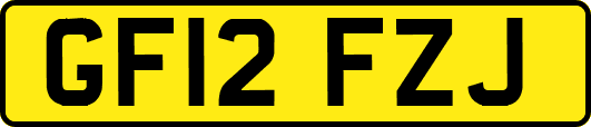 GF12FZJ