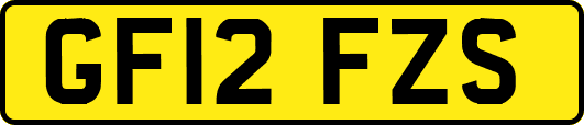 GF12FZS
