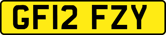 GF12FZY