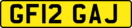 GF12GAJ