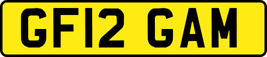 GF12GAM