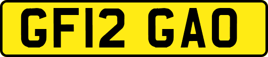GF12GAO
