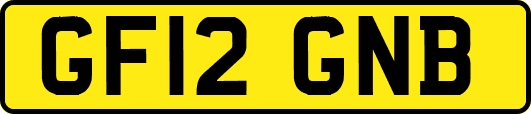 GF12GNB