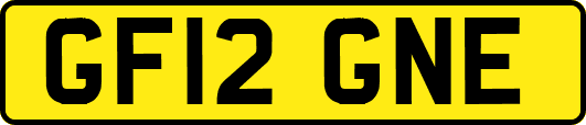 GF12GNE