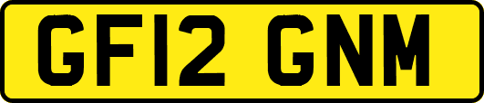 GF12GNM