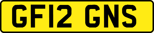 GF12GNS