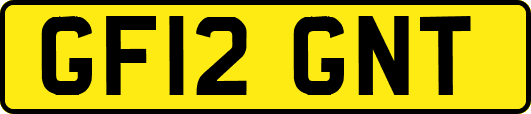 GF12GNT