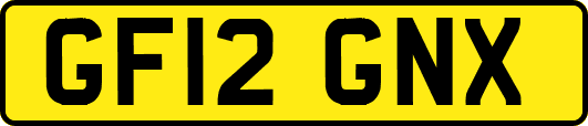 GF12GNX