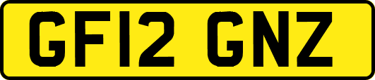 GF12GNZ