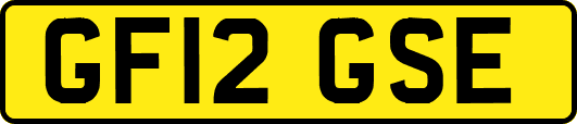 GF12GSE