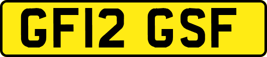 GF12GSF