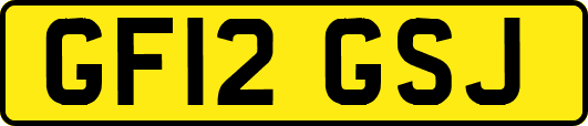 GF12GSJ