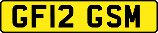 GF12GSM