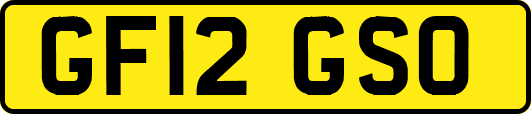 GF12GSO