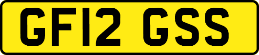 GF12GSS