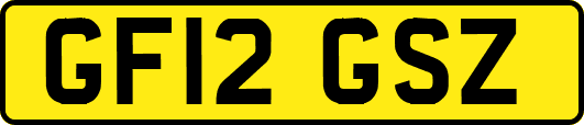 GF12GSZ
