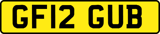 GF12GUB