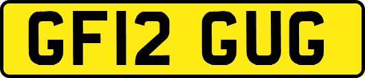 GF12GUG