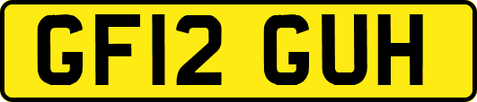 GF12GUH