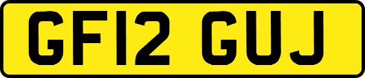 GF12GUJ