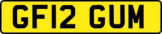 GF12GUM
