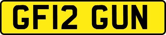 GF12GUN