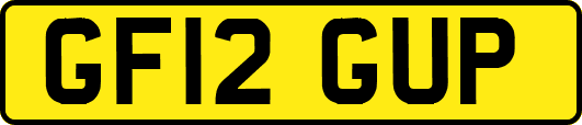 GF12GUP