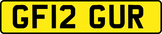 GF12GUR