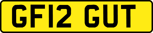 GF12GUT