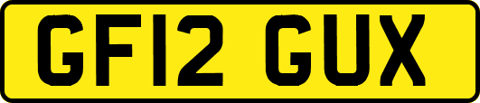 GF12GUX