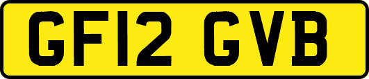 GF12GVB