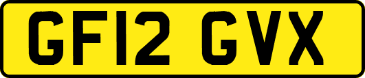GF12GVX