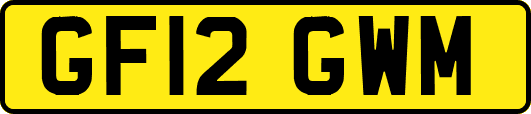 GF12GWM