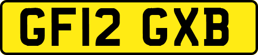 GF12GXB
