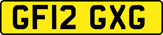 GF12GXG