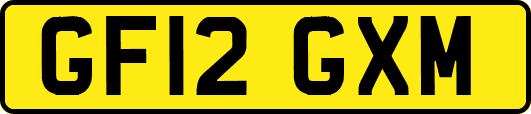 GF12GXM
