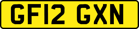 GF12GXN