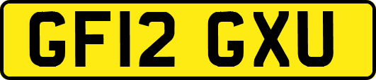 GF12GXU
