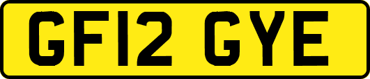 GF12GYE
