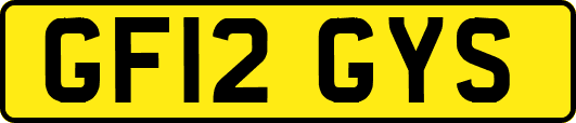 GF12GYS