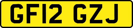 GF12GZJ
