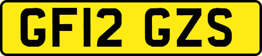 GF12GZS