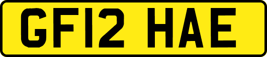GF12HAE