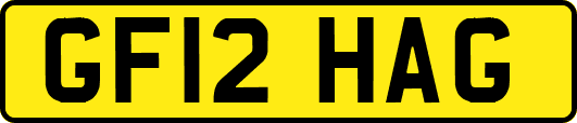 GF12HAG
